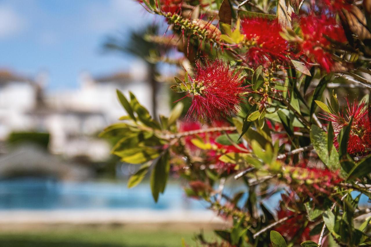 Apartamento Avalon Jávea Exterior foto